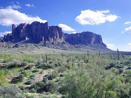 Национальный Парк Сагуаро (Saguaro)